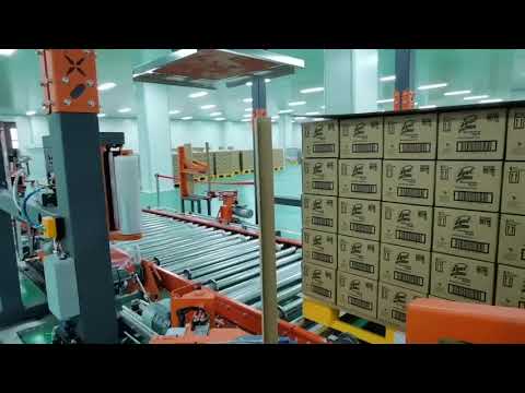 Pallet wrapping machine