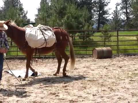 copper packing